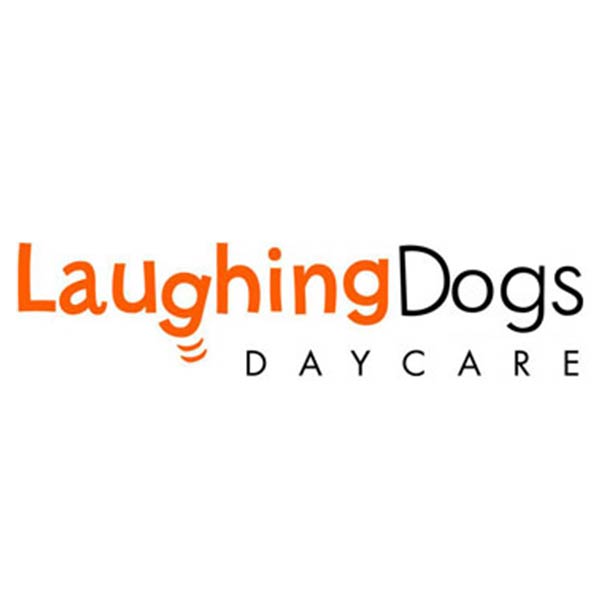 Laughing Dogs Daycare photo