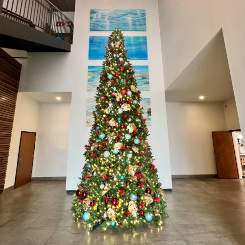 Holiday Happenings in Kailua Town! Kailua Town